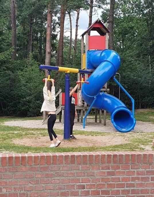 スピール Sfeervol Chalet In Drenthe Bij Het Dwingelderveldヴィラ エクステリア 写真
