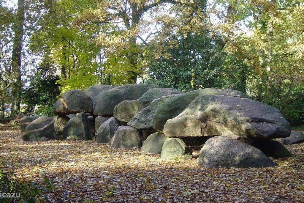 スピール Sfeervol Chalet In Drenthe Bij Het Dwingelderveldヴィラ エクステリア 写真