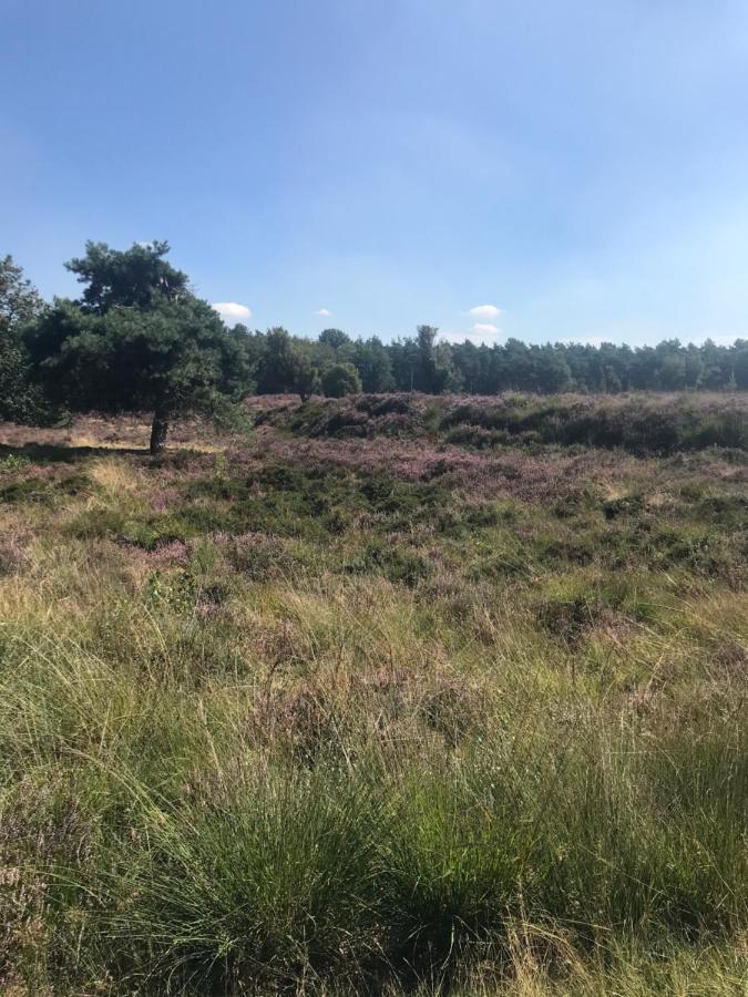 スピール Sfeervol Chalet In Drenthe Bij Het Dwingelderveldヴィラ エクステリア 写真