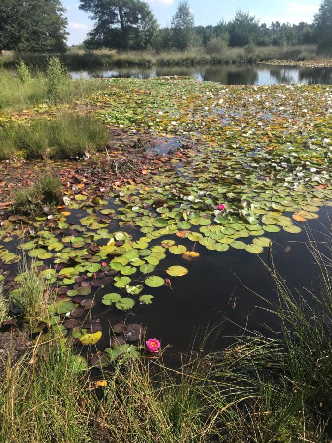スピール Sfeervol Chalet In Drenthe Bij Het Dwingelderveldヴィラ エクステリア 写真